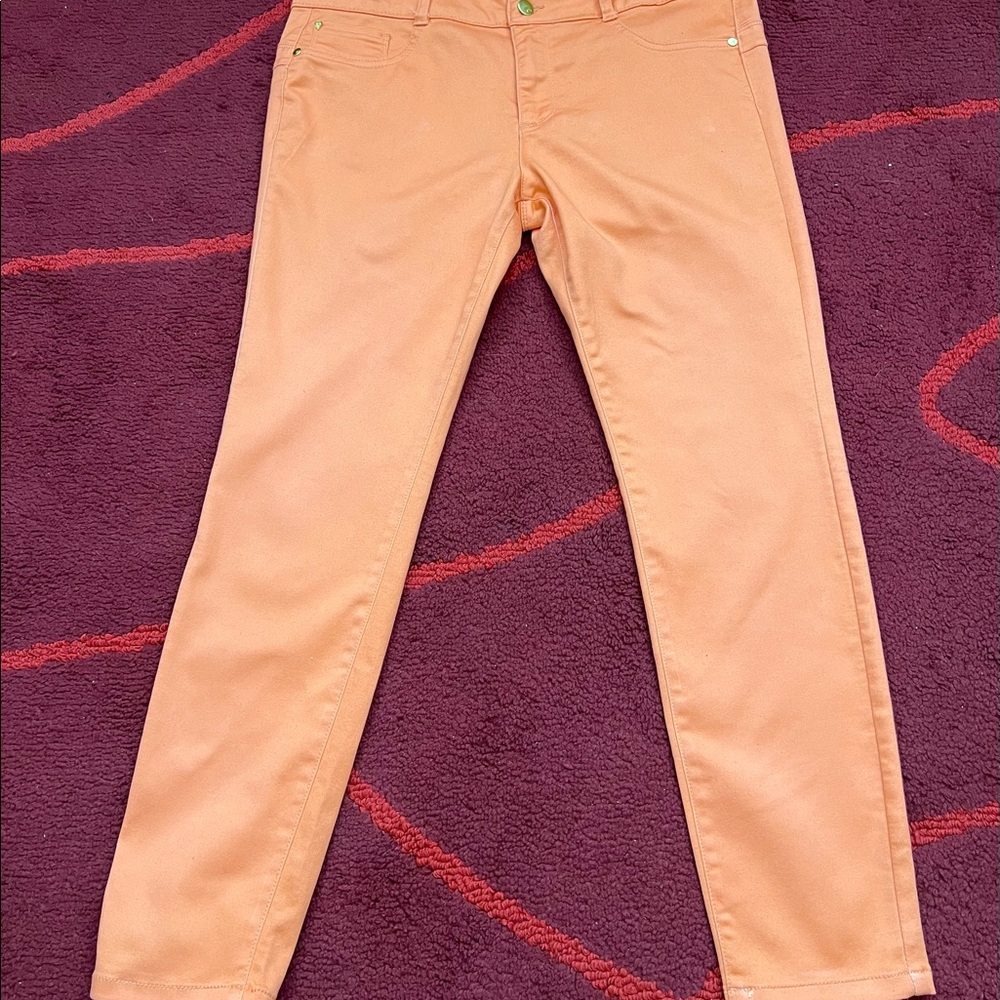 Thalia Soda Skinny Leg Jean size 12